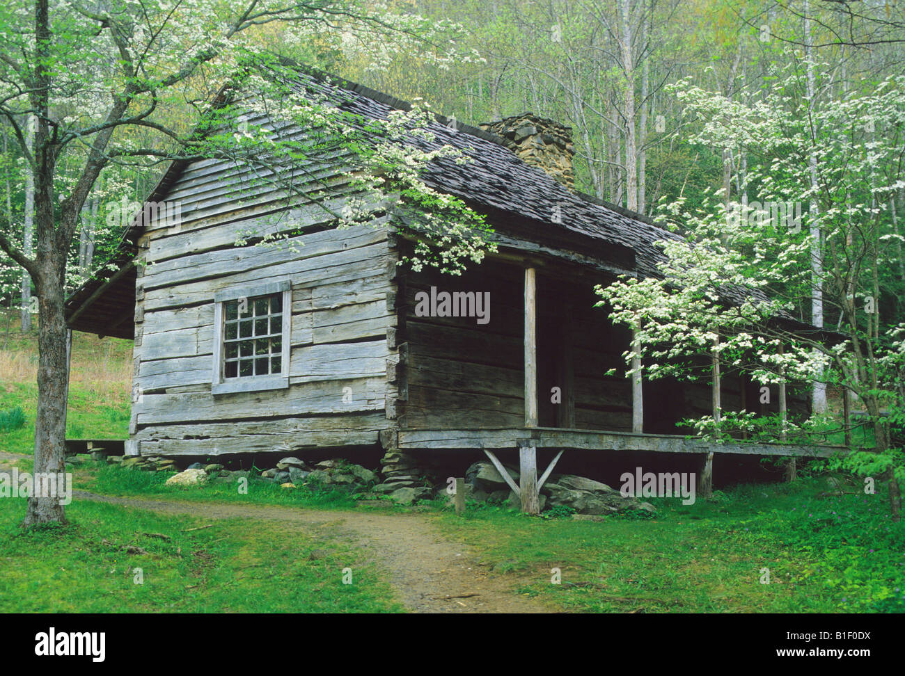 The Bud Ogle cabin Spring Great Smoky Mountains National Park Tennessee USA, by Bill Lea/Dembinsky Photo Assoc Stock Photo