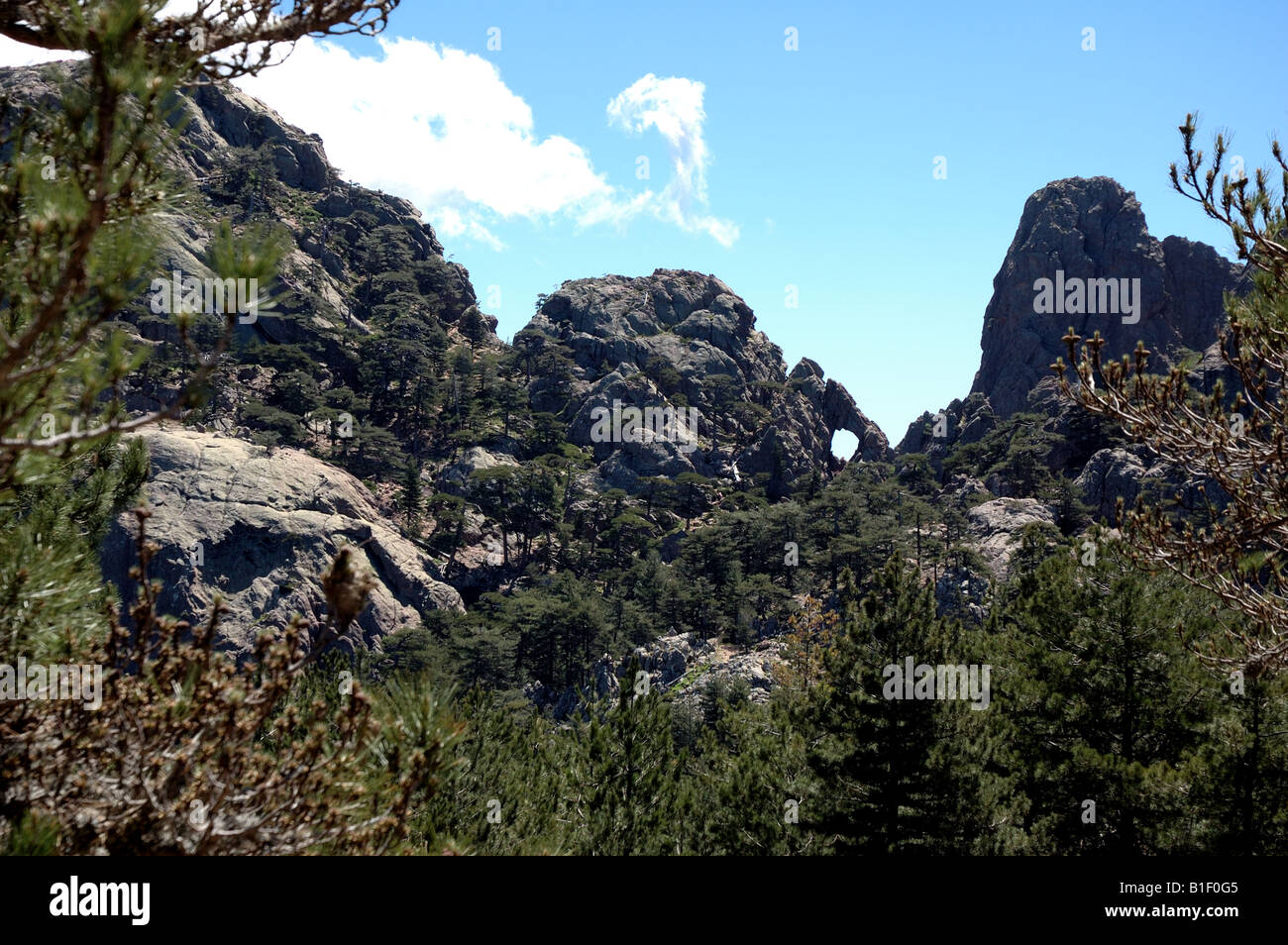 Le trou de la bombe, Bavella, Corsica, France Stock Photo Alamy Le trou de la bombe, Bavella, Corsica, France Stock Photo Alamy