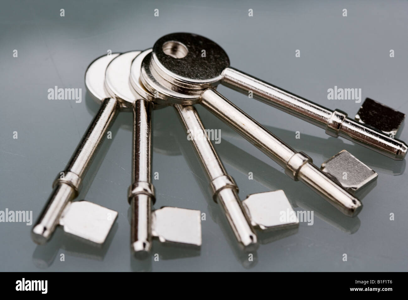 Mix of union key blanks, uncut, keys key symbol of security safety
