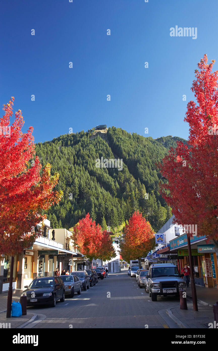 Autumn Trees Rees St and Skyline Gondola Queenstown Otago South Island New Zealand Stock Photo