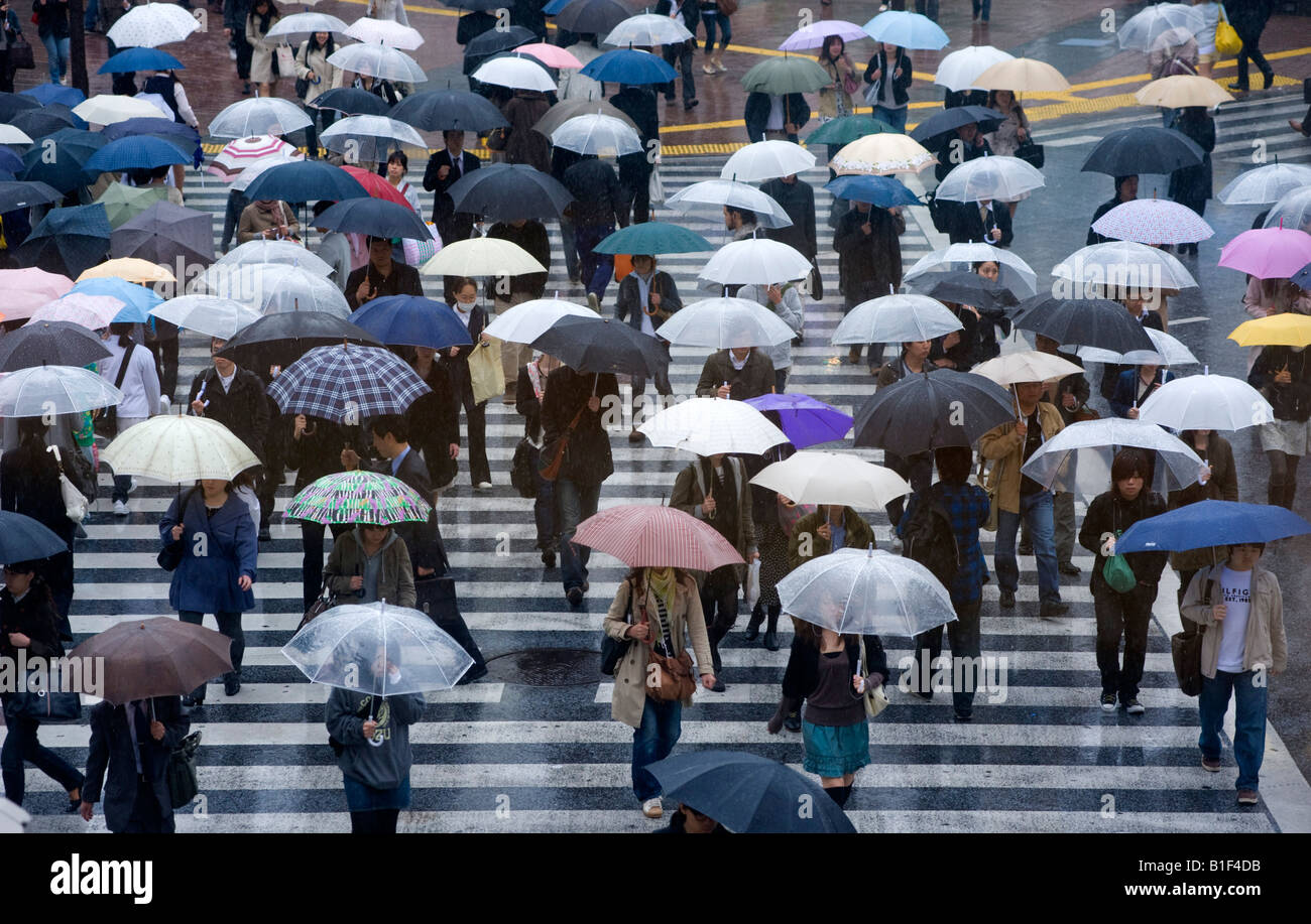 Crowds of people with umbrellas cross street in rain in Tokyo 2008 Stock Photo