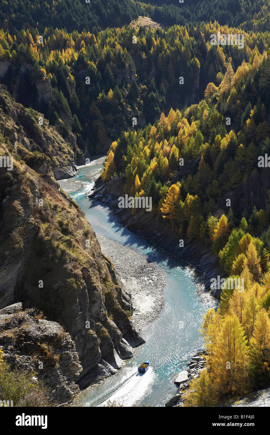 Jet Boat Shotover River and Larch Trees in Autumn Historic Skippers Canyon Queenstown Central Otago South Island New Zealand Stock Photo