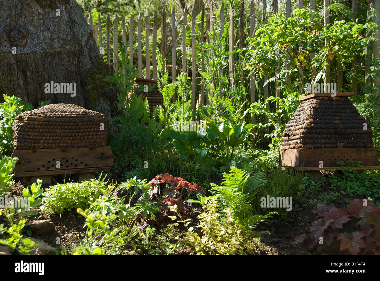 Stock photo of old style woven beehives in the village of Montrol Senard Stock Photo