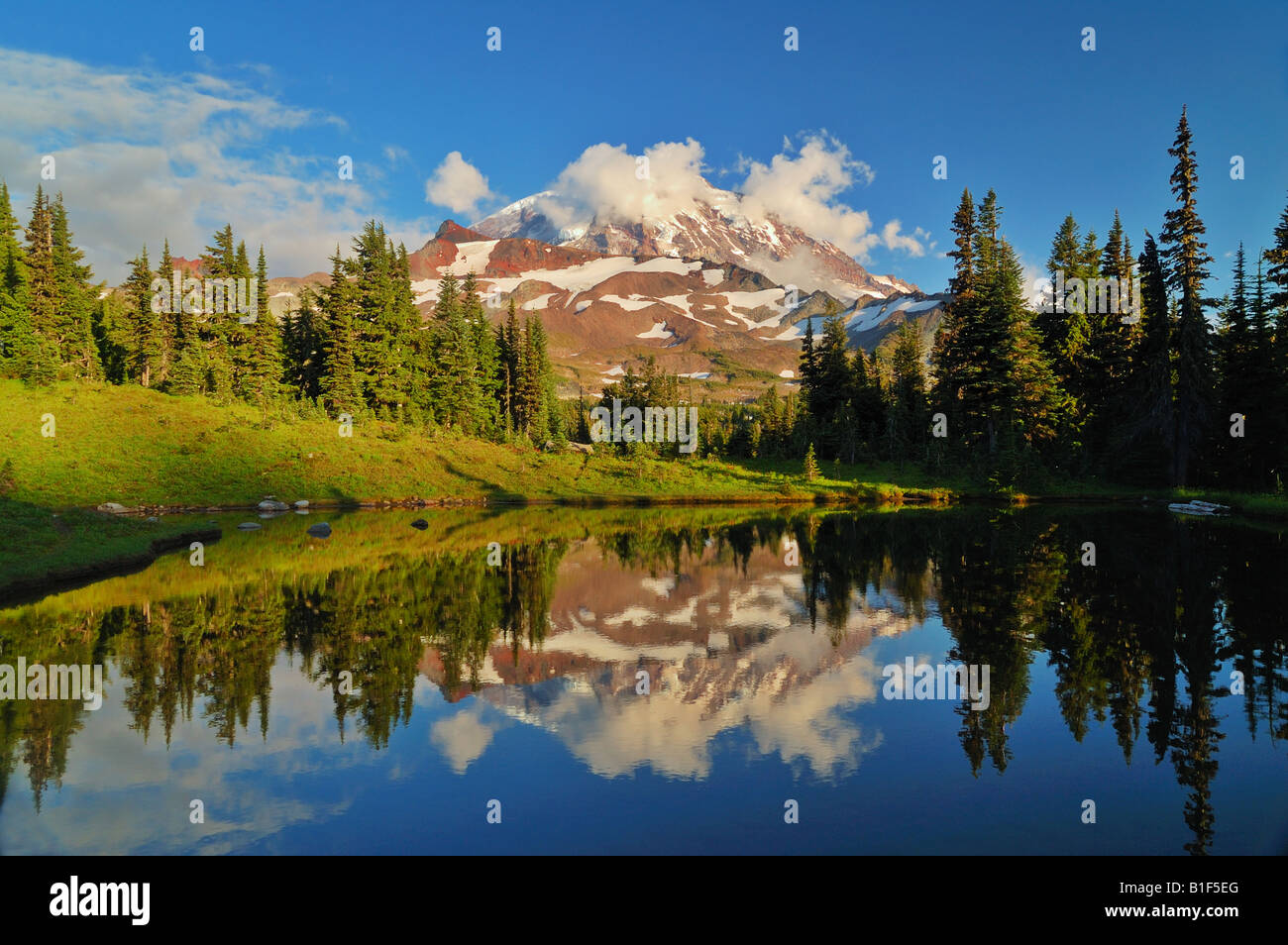 Afternoon Photo of Mt Rainier reflected in a tarn Stock Photo Alamy