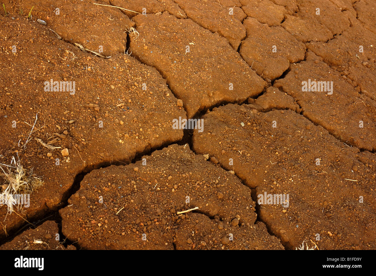 Infertile Soil Stock Photos & Infertile Soil Stock Images Alamy