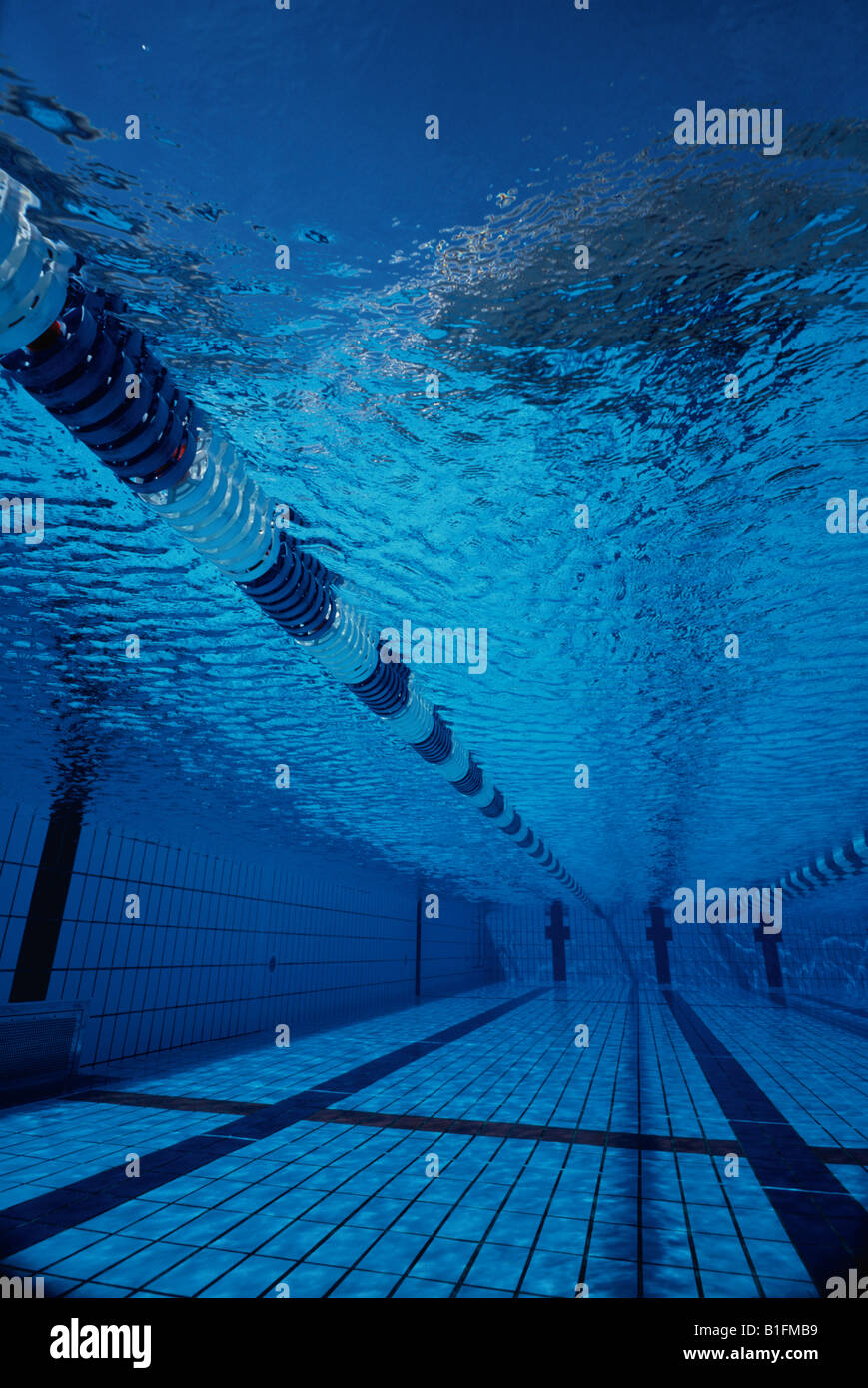 Underwater ropes hi-res stock photography and images - Alamy
