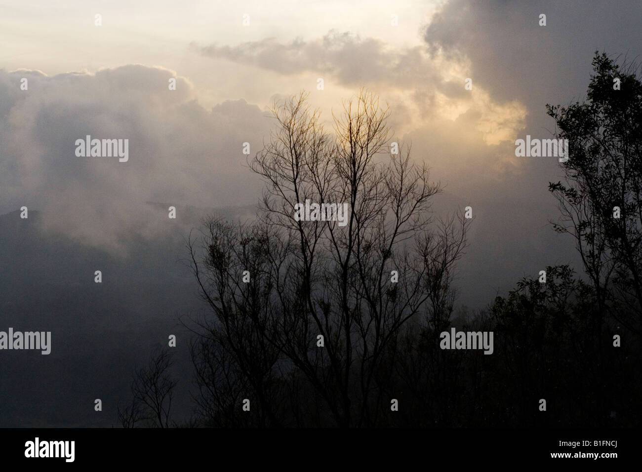 The fog bound Western Ghats in Karnataka. This is seen from Madikeri