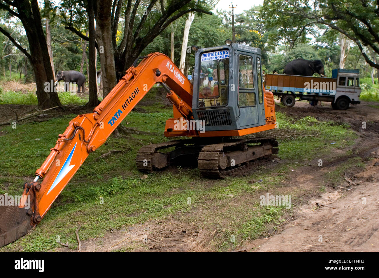 Plumber Everyone educate Mechanical digger forest hi-res stock photography and images - Alamy
