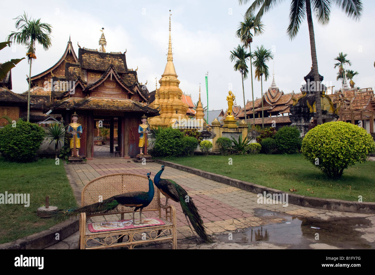 Yunnan province hi-res stock photography and images - Alamy