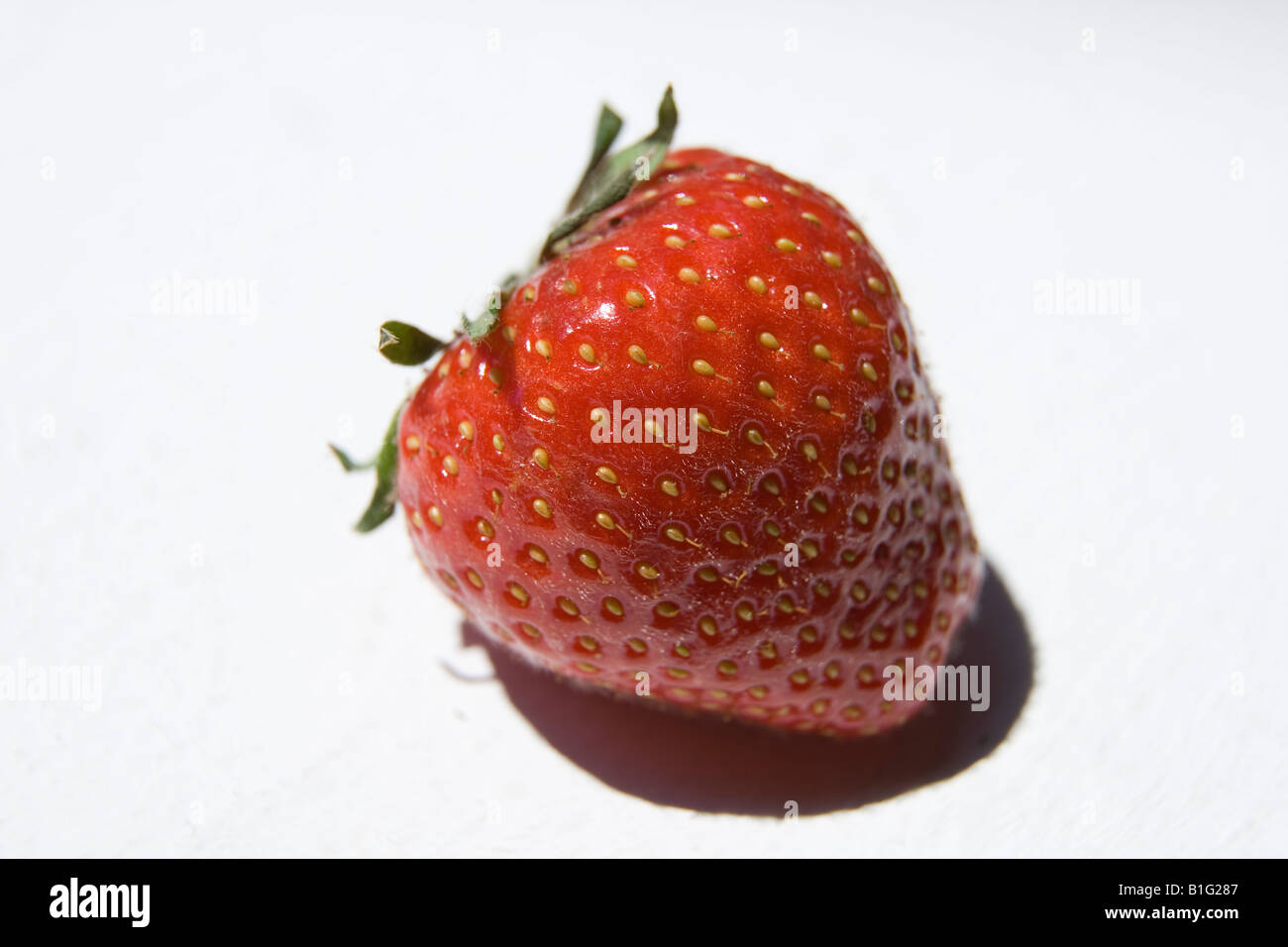 Single red strawberry on white studio background Stock Photo - Alamy
