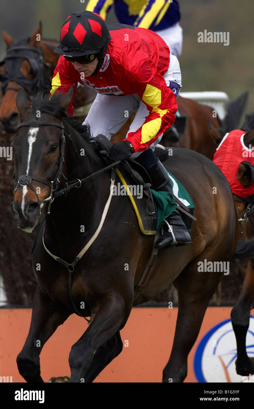 Horse racing jockeys Stock Photo Alamy