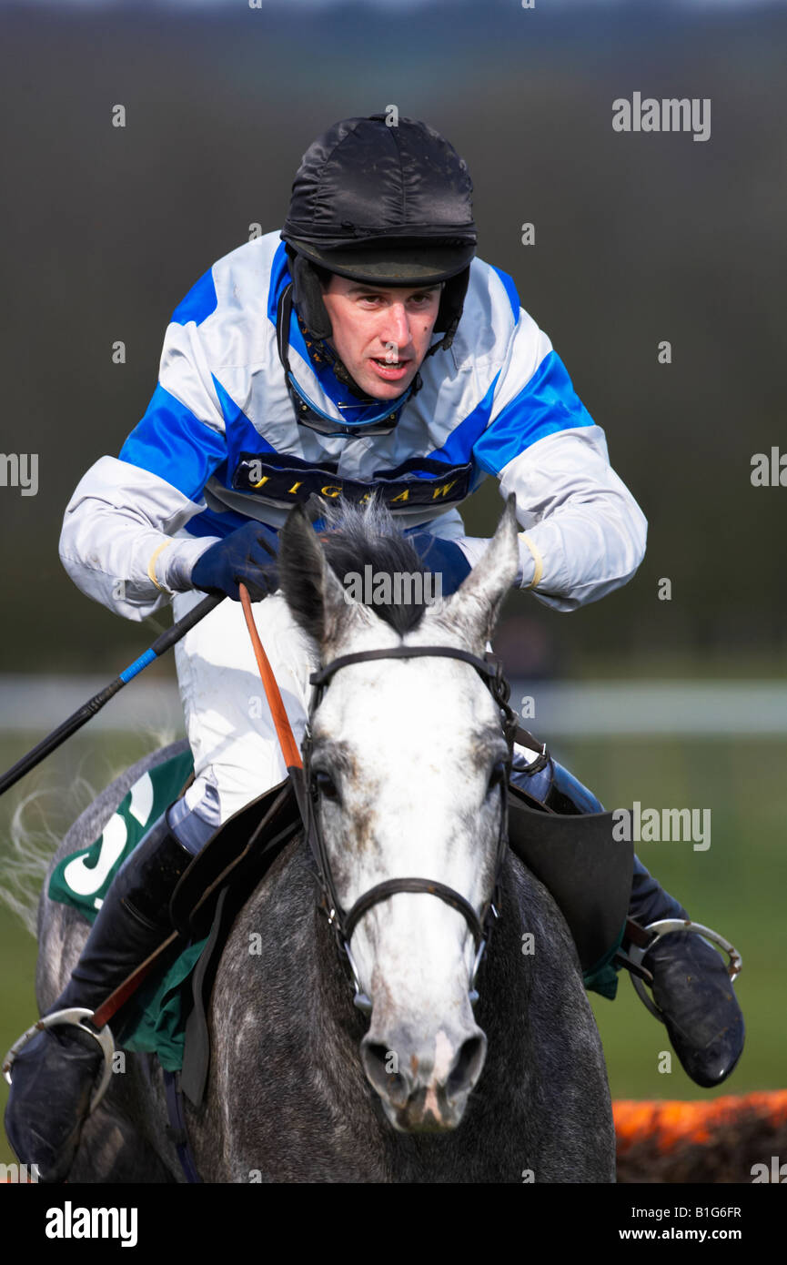Horse racing jockey jumping a jump Stock Photo Alamy