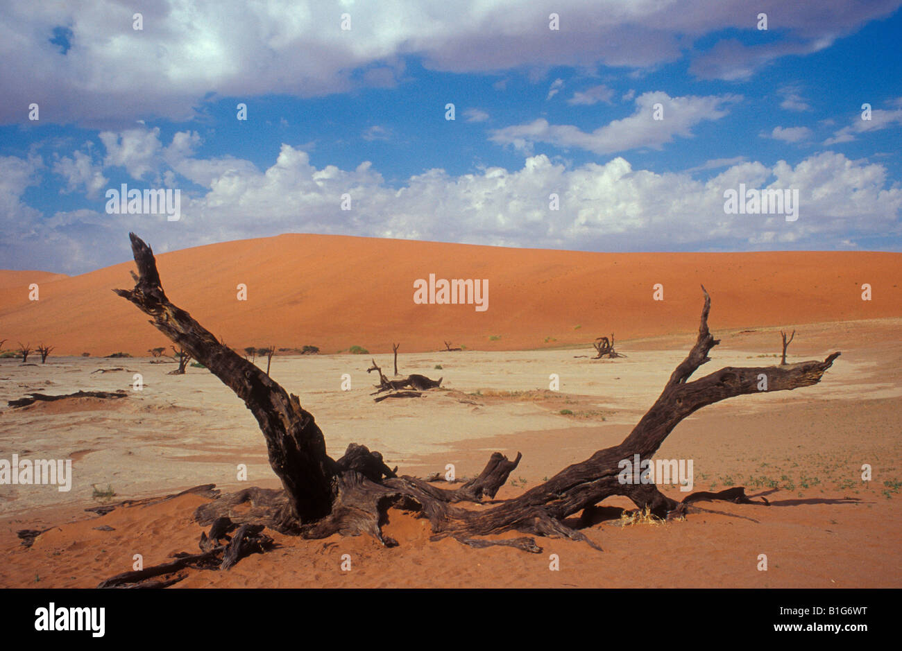 Dunes Sossusvlei Namibia Africa Stock Photo - Alamy