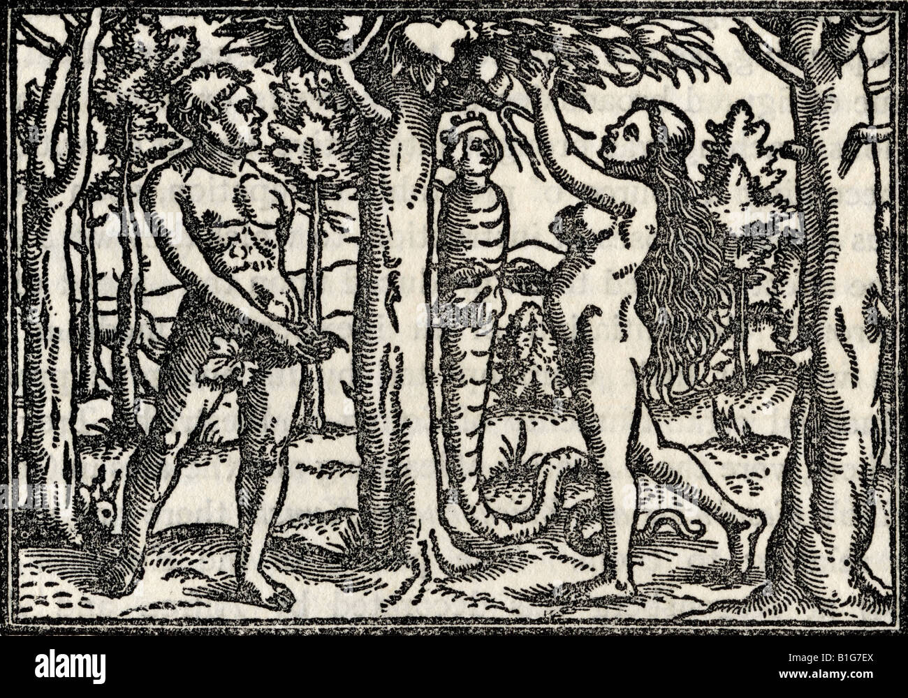 The Fall of Adam and Eve, after Hans Holbein.  Facsimile from the bible printed by Christoffel Froschover,Zurich 1531. Stock Photo