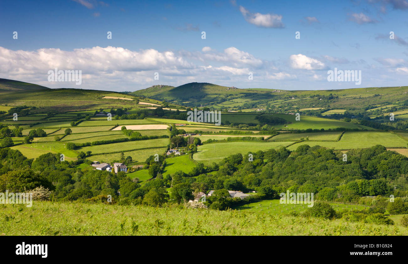 Summer scenes in the Dartmoor countryside Dartmoor National Park Devon