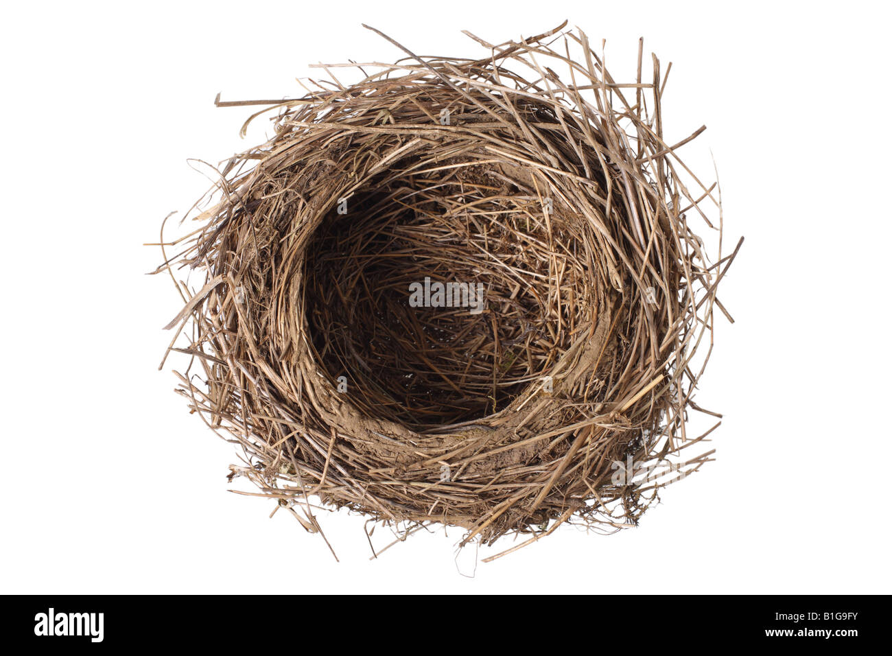Bird s nest cut out on white background Stock Photo