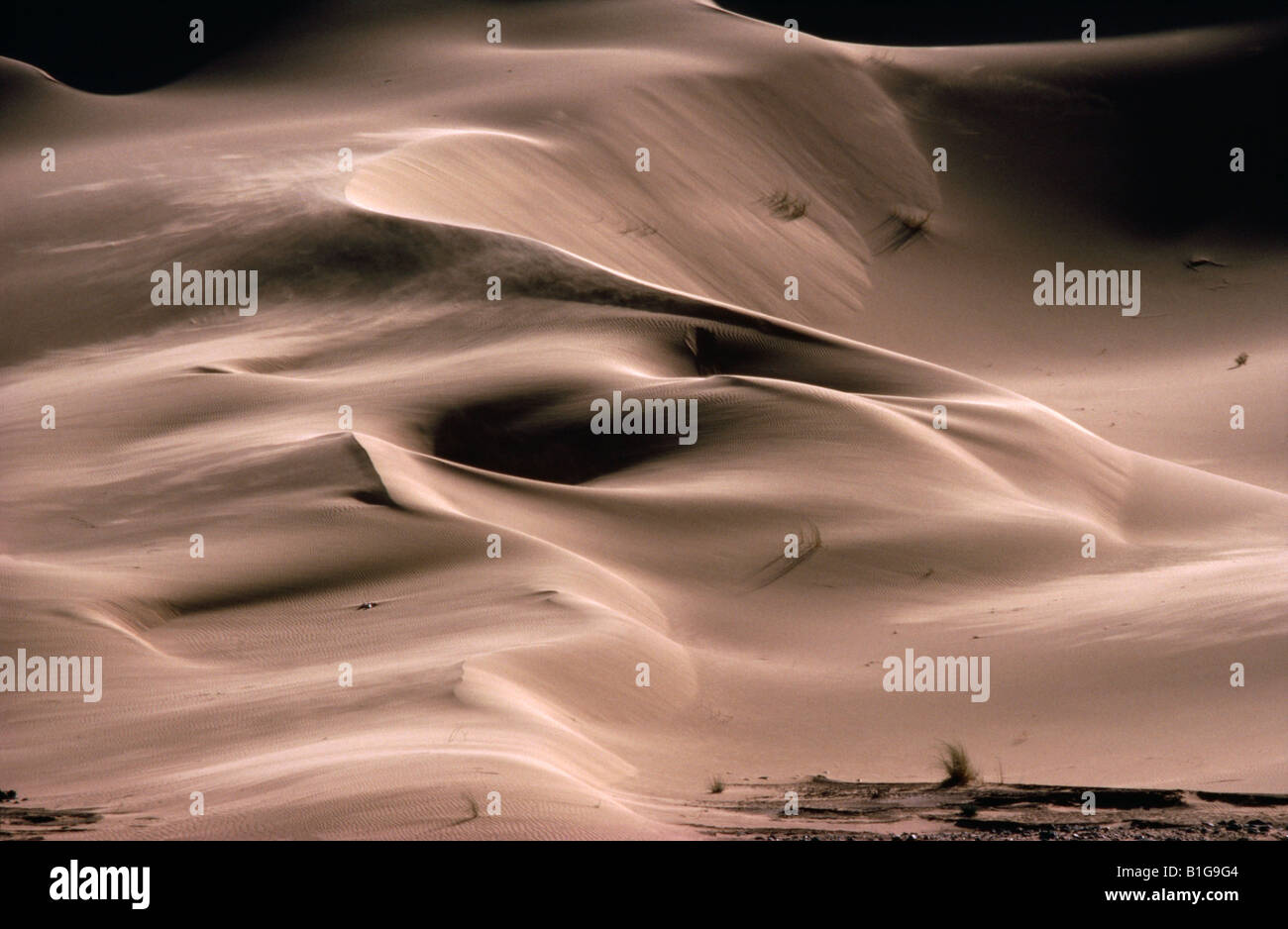 Sand dunes of the Grand Erg Occidental near Taghit in North west Algeria Stock Photo