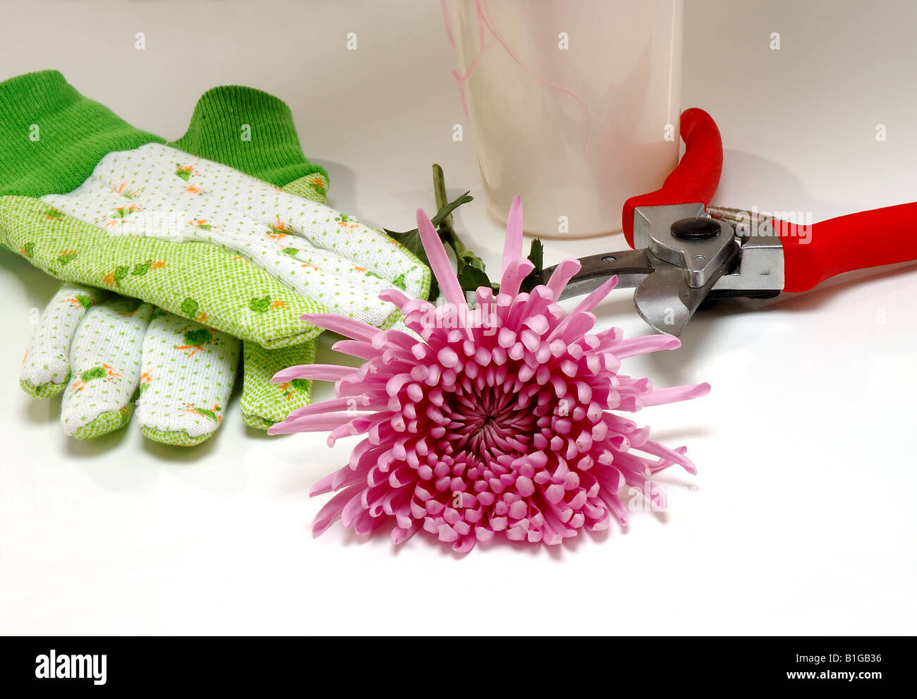 Flower Arrangement Tools Stock Photo Alamy