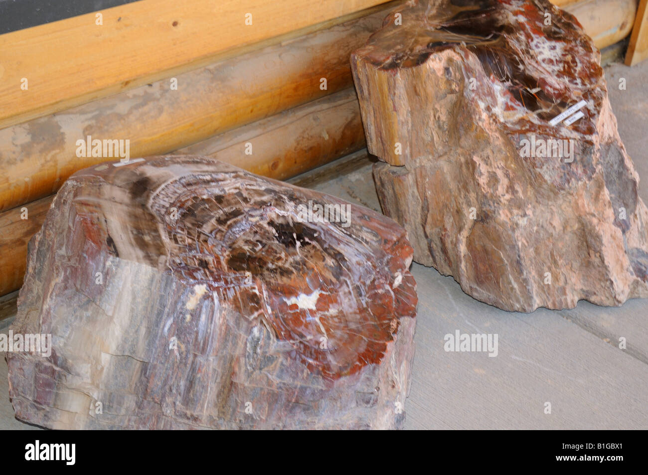 Petrified Wood and Utah Rocks for sale in Western Town at Bryce Canyon Lodge in Utah USA Stock