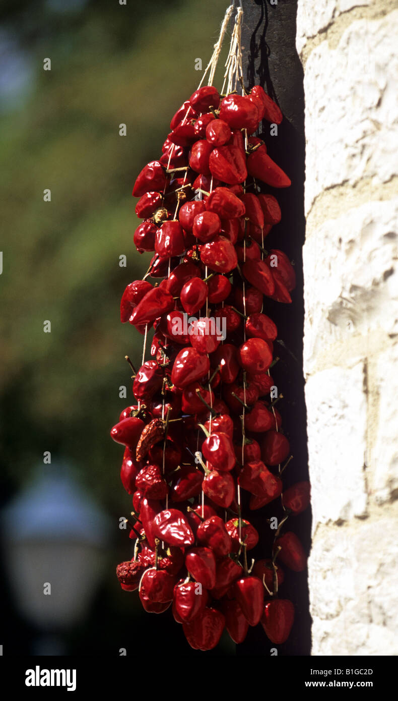 Hanging string of chilis hi-res stock photography and images - Alamy