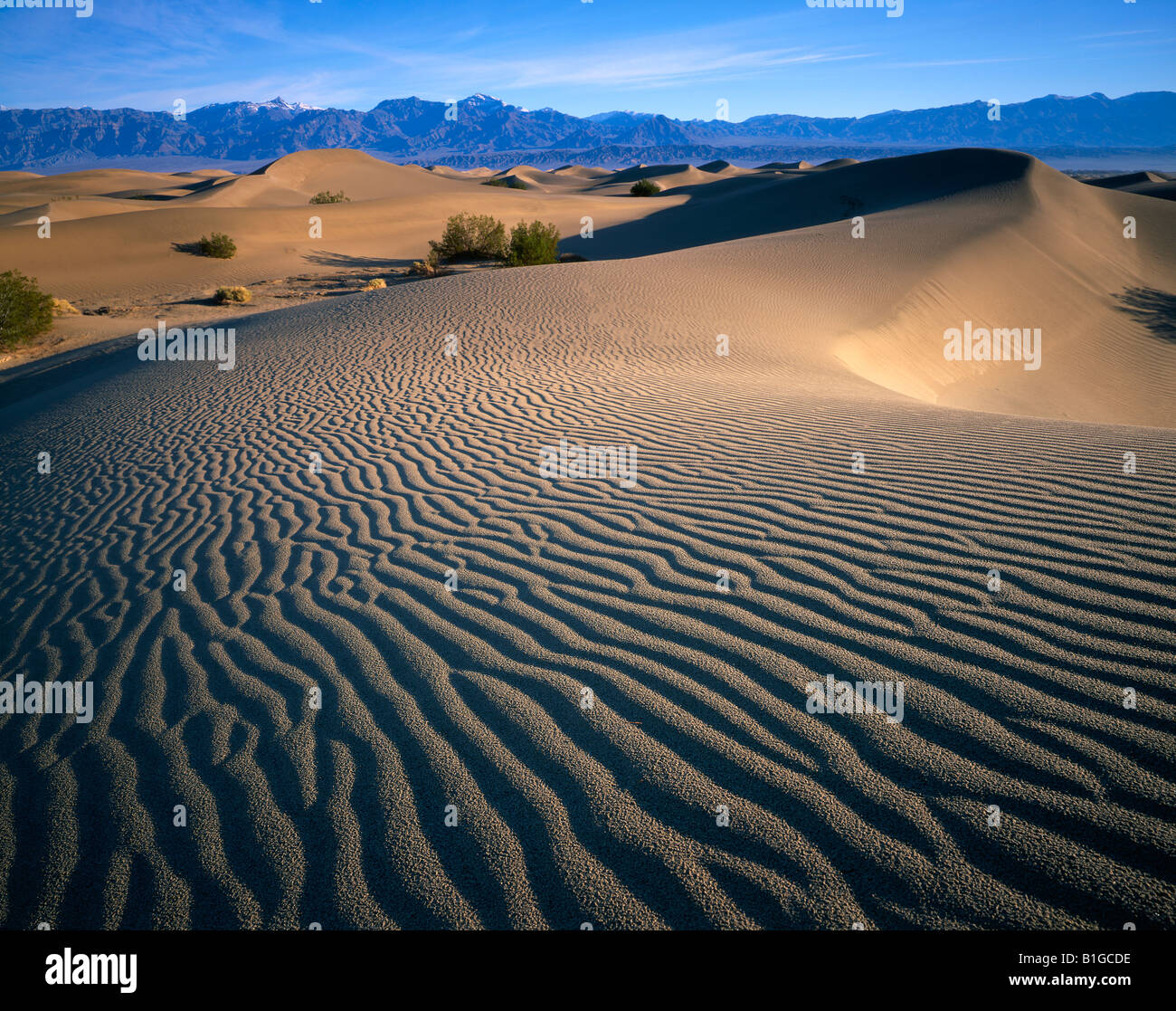 Sand Dunes Death Valley National Park, California Stock Photo Alamy