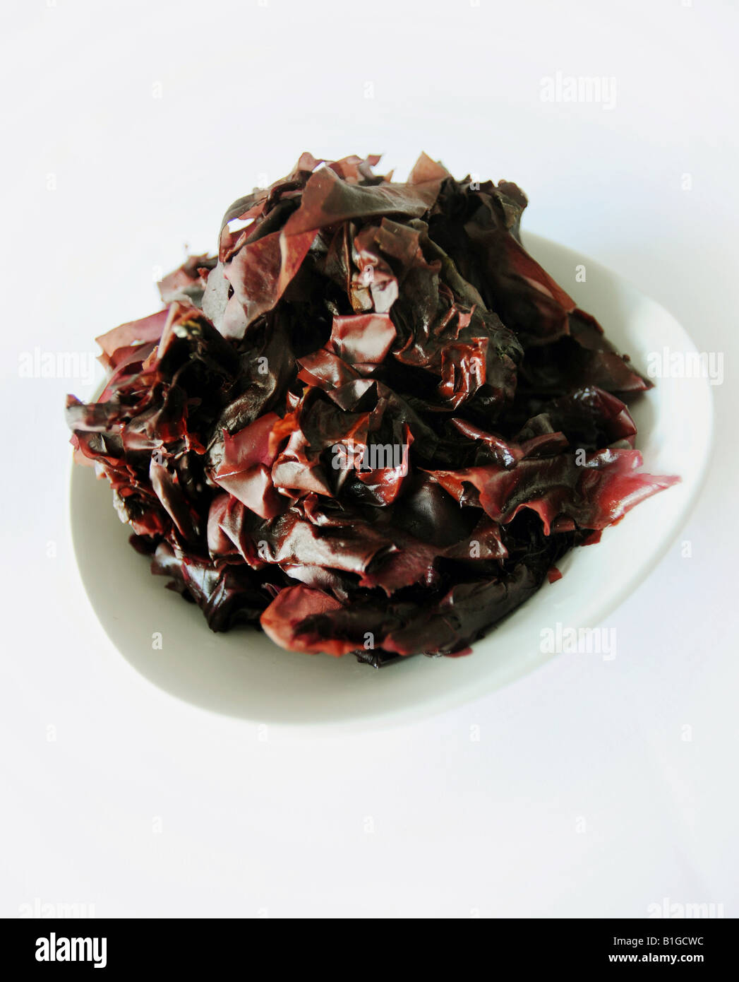 Dulse Seaweed Stock Photo Alamy
