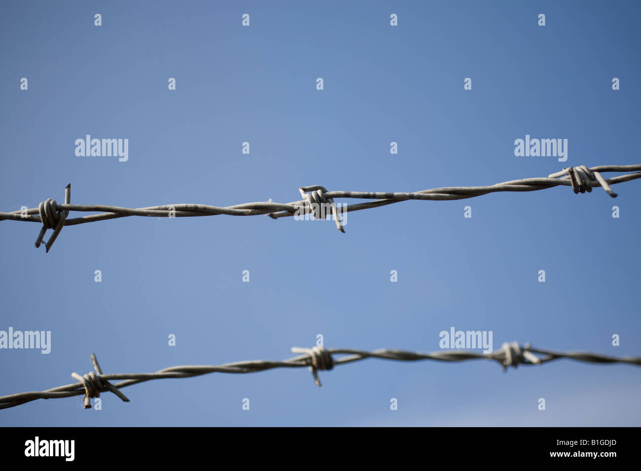 Barbed wire on a blue sky Stock Photo