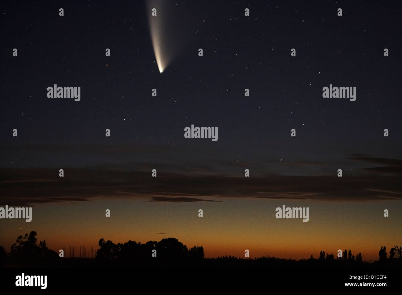 Comet McNaught Ashburton South Island New Zealand Stock Photo
