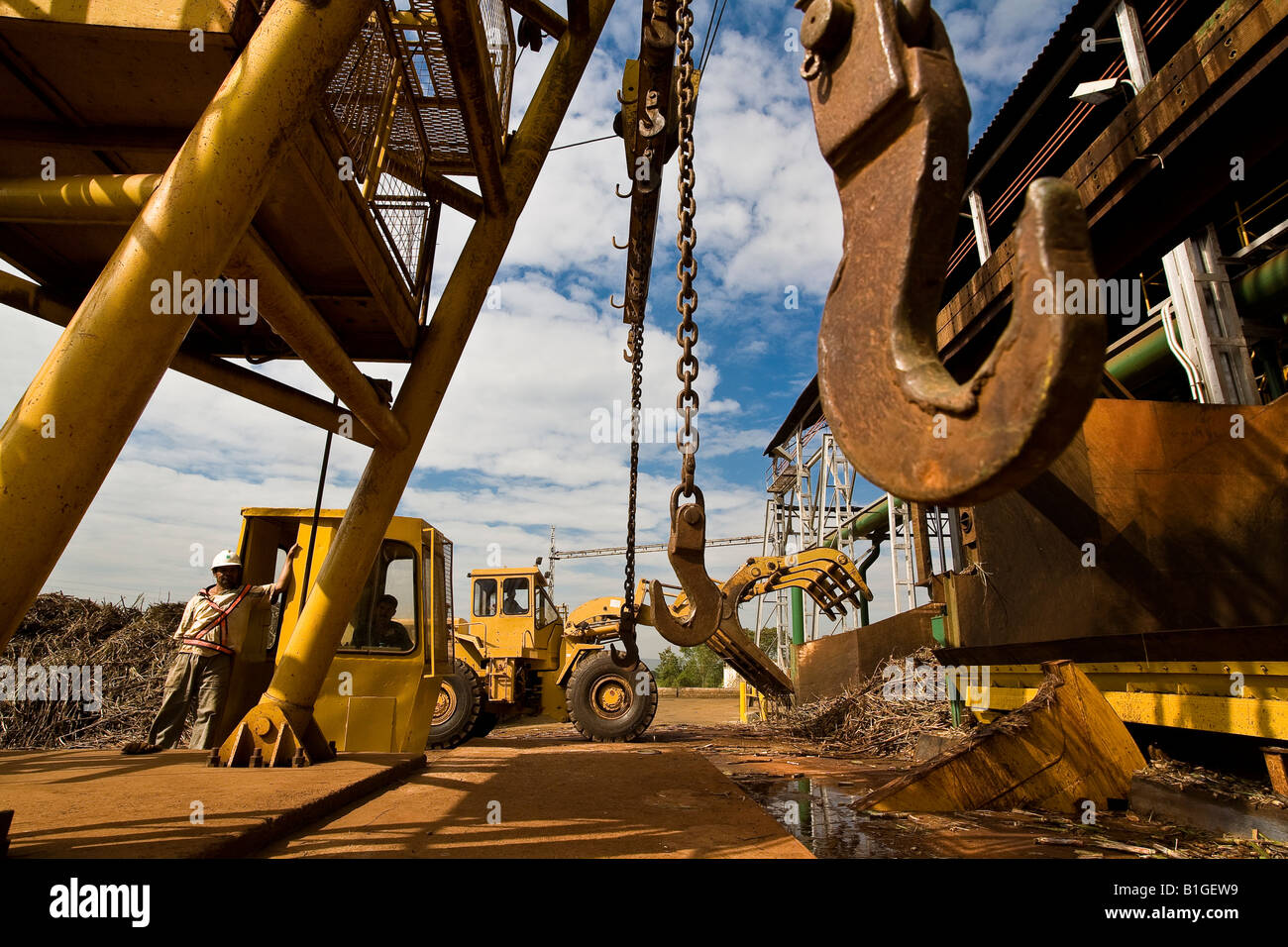 Sao Francisco ethanol and sugar plant Tractor feeds grinder with sugarcane Brazil May 2008 Stock Photo
