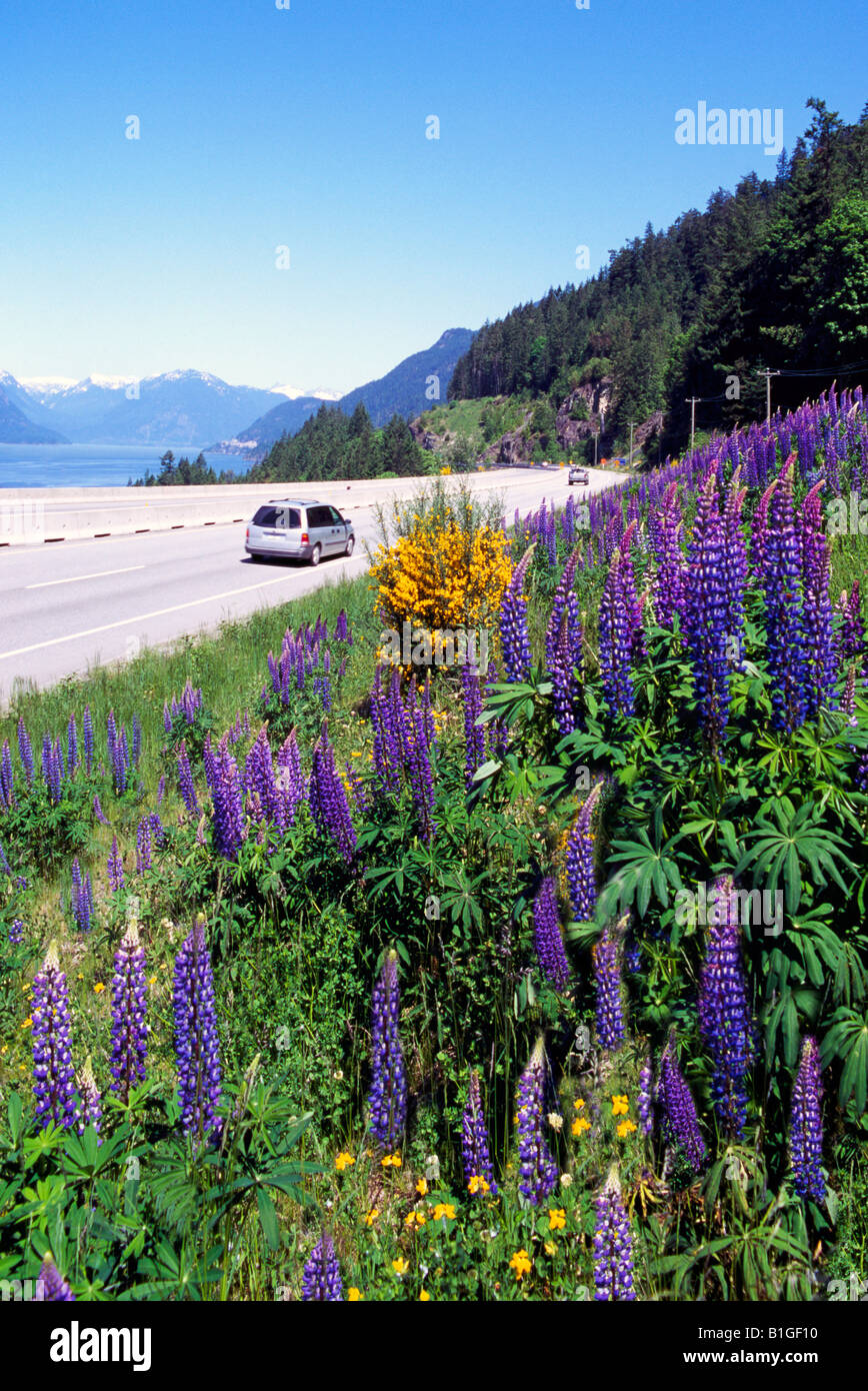 Scenic 'Sea to Sky' Highway (Hwy 99) from Vancouver to Whistler, BC, British Columbia, Canada - Howe Sound, Coast Mountains Stock Photo
