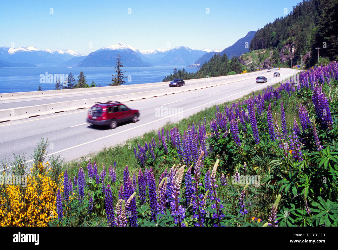 Scenic 'Sea to Sky' Highway (Hwy 99) from Vancouver to Whistler, BC, British Columbia, Canada - Howe Sound, Coast Mountains Stock Photo