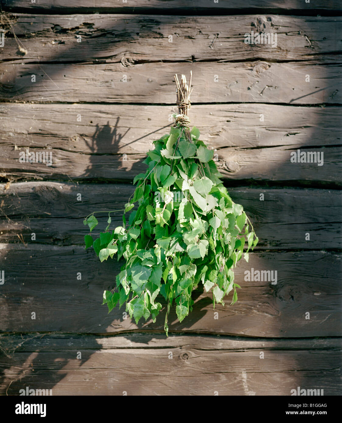 Sauna whisk hi-res stock photography and images - Alamy