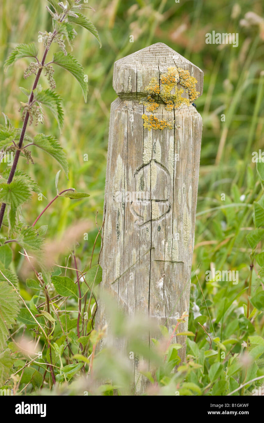 Overgrown South West Coast Path marker post Stock Photo - Alamy