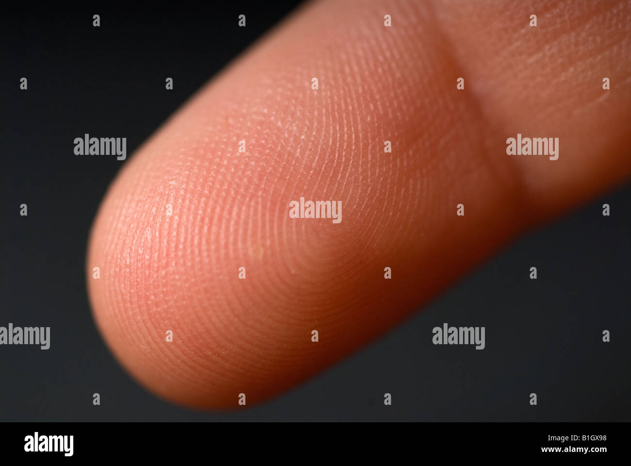 Stock photo of a close up shot of a fingerprint of a childs finger Stock Photo