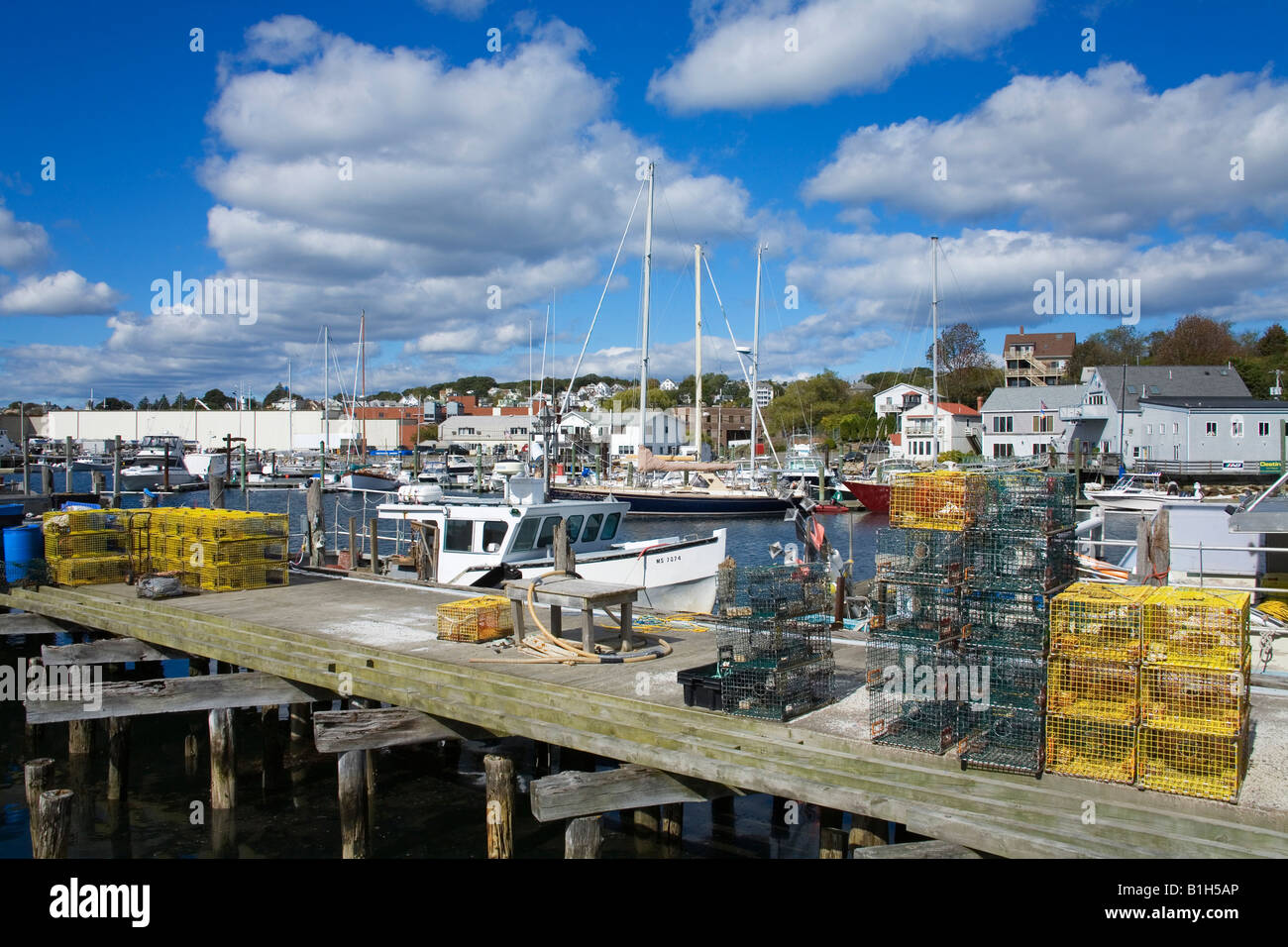 Lobster traps and lobster buoys on a fishing pier, Gloucester, Cape Ann