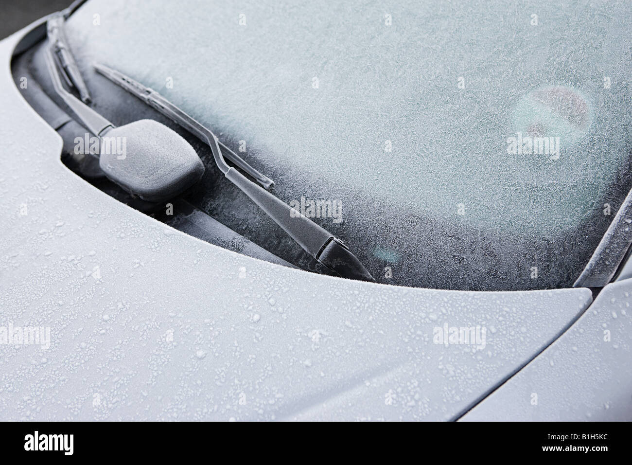 Frost on a car Stock Photo Alamy