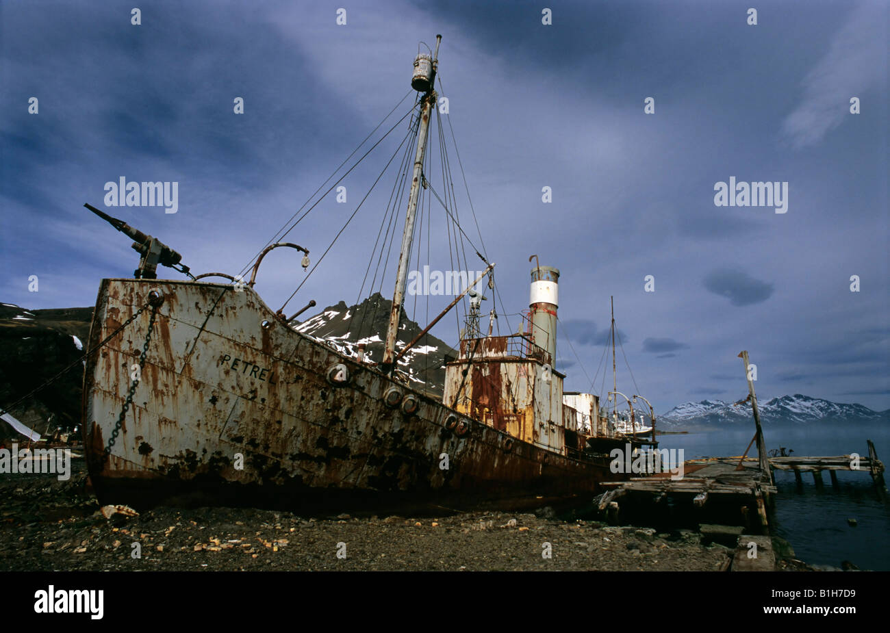 Wrecked whaling ship at the coast, Grytviken, South Georgia Island ...