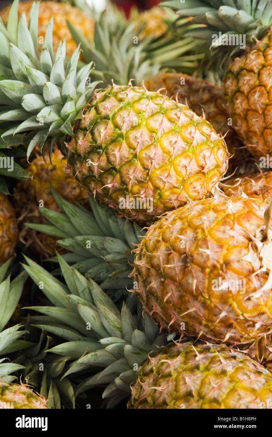 Pineapples for sale Cairns, Queensland, AUSTRALIA Stock Photo Alamy