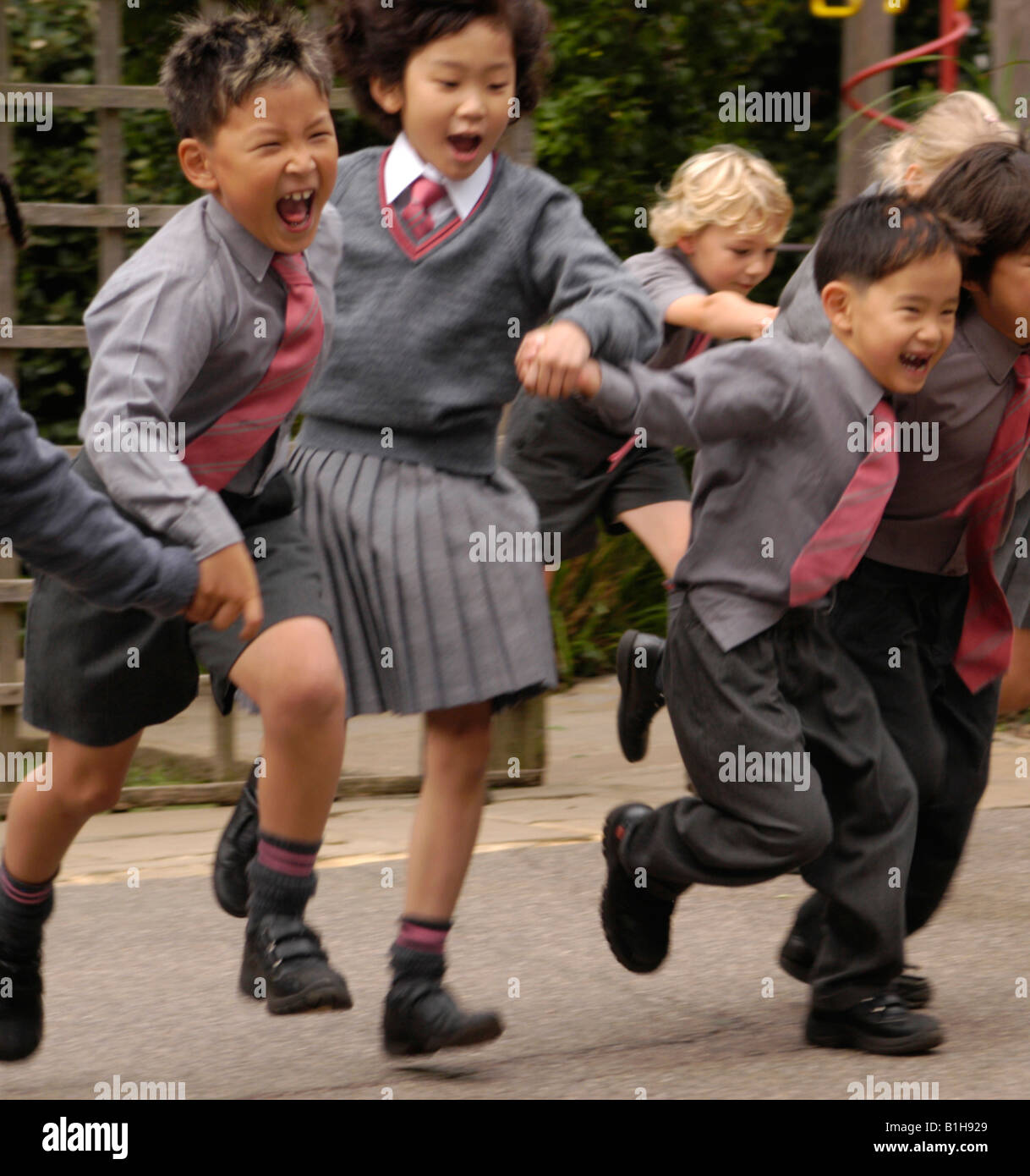 Albums 94+ Wallpaper What Age Is A Junior In High School Superb