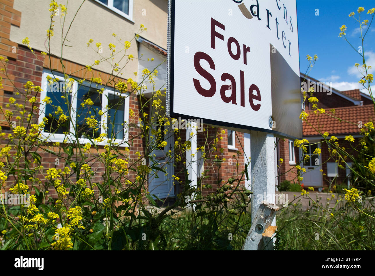 A vacant house for sale with the garden starting to become overgrown, Eastbourne, East Sussex, England, 19th June 2008. Stock Photo