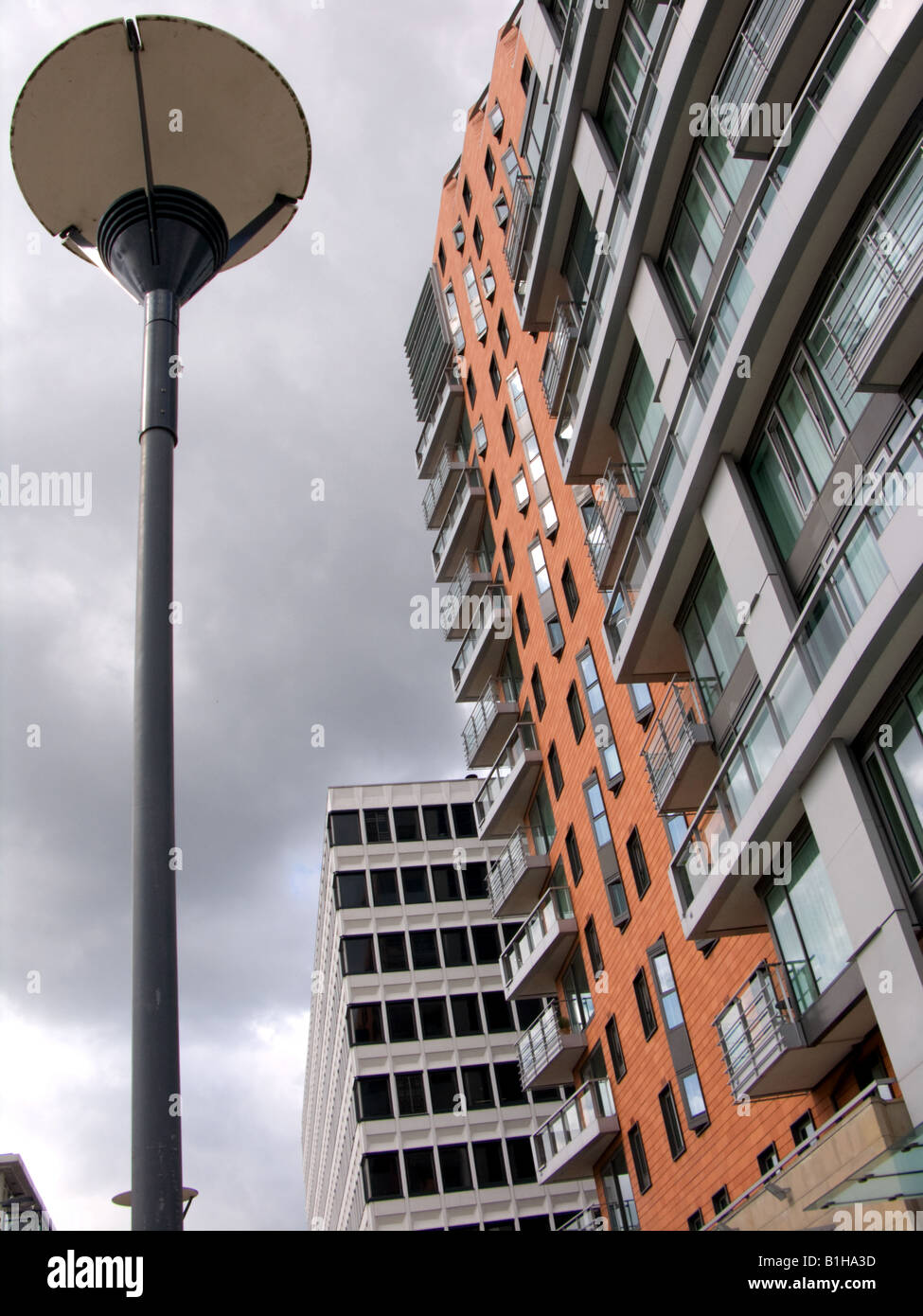 Gallery image with a fresh perspective
