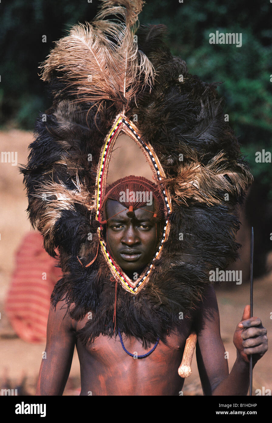 Maasai Moran With Spectacular Ostrich Feather Headdress Kenya East 