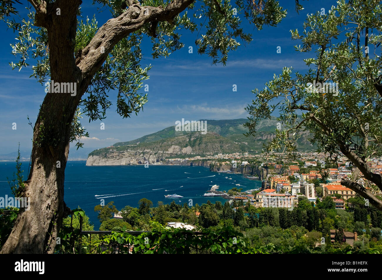 A view of the bay of Naples and Sorrento Italy from an olive grove in the gardens of a hotel Stock Photo