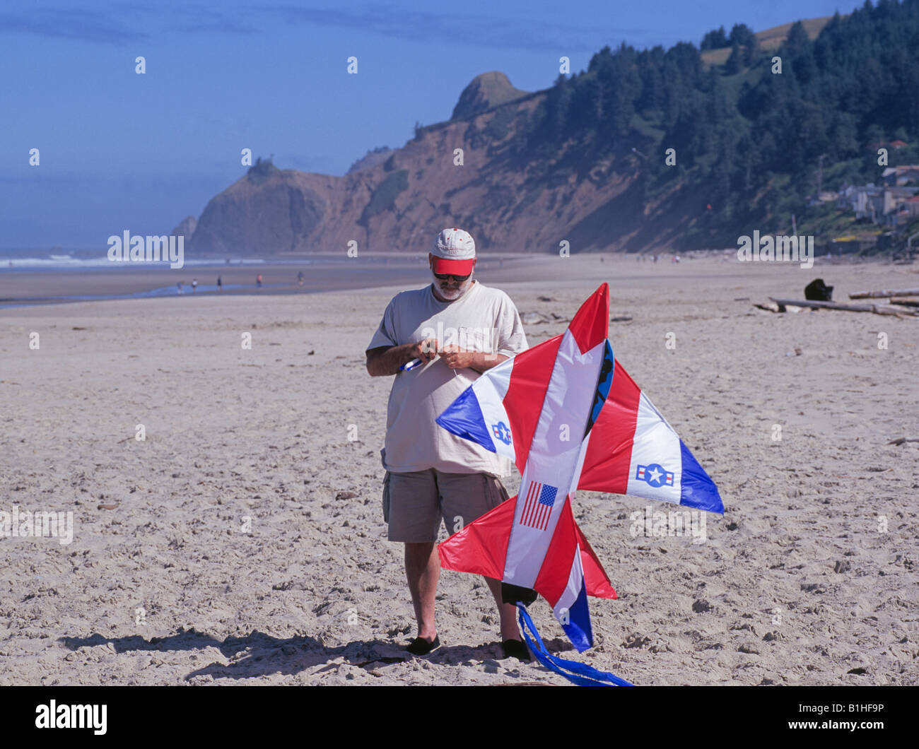 A visitor prepares to fly a large jet plane kite on the beach in north