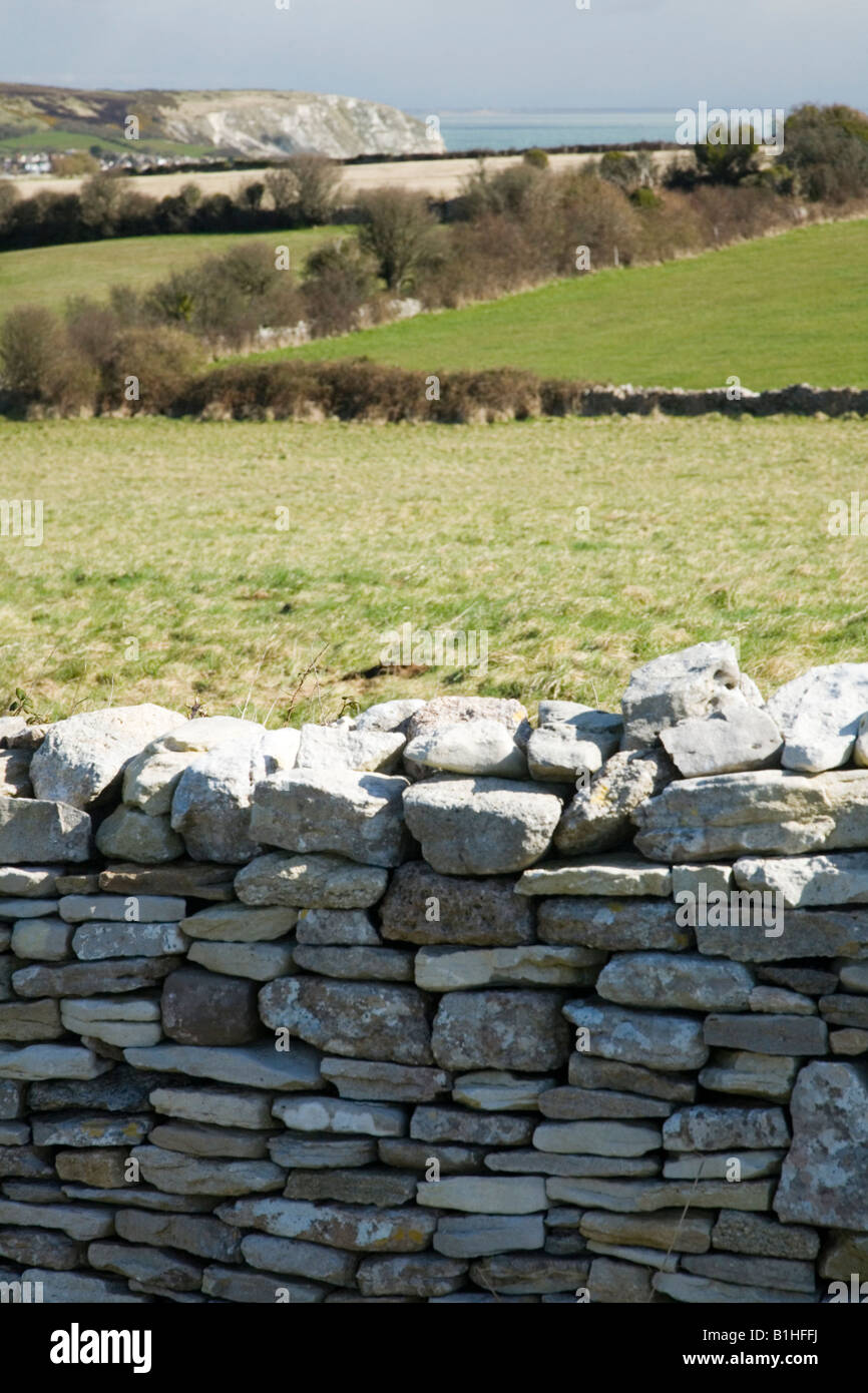 View of Ballard Down from Langton Matravers Purbeck Dorset UK Stock Photo Alamy