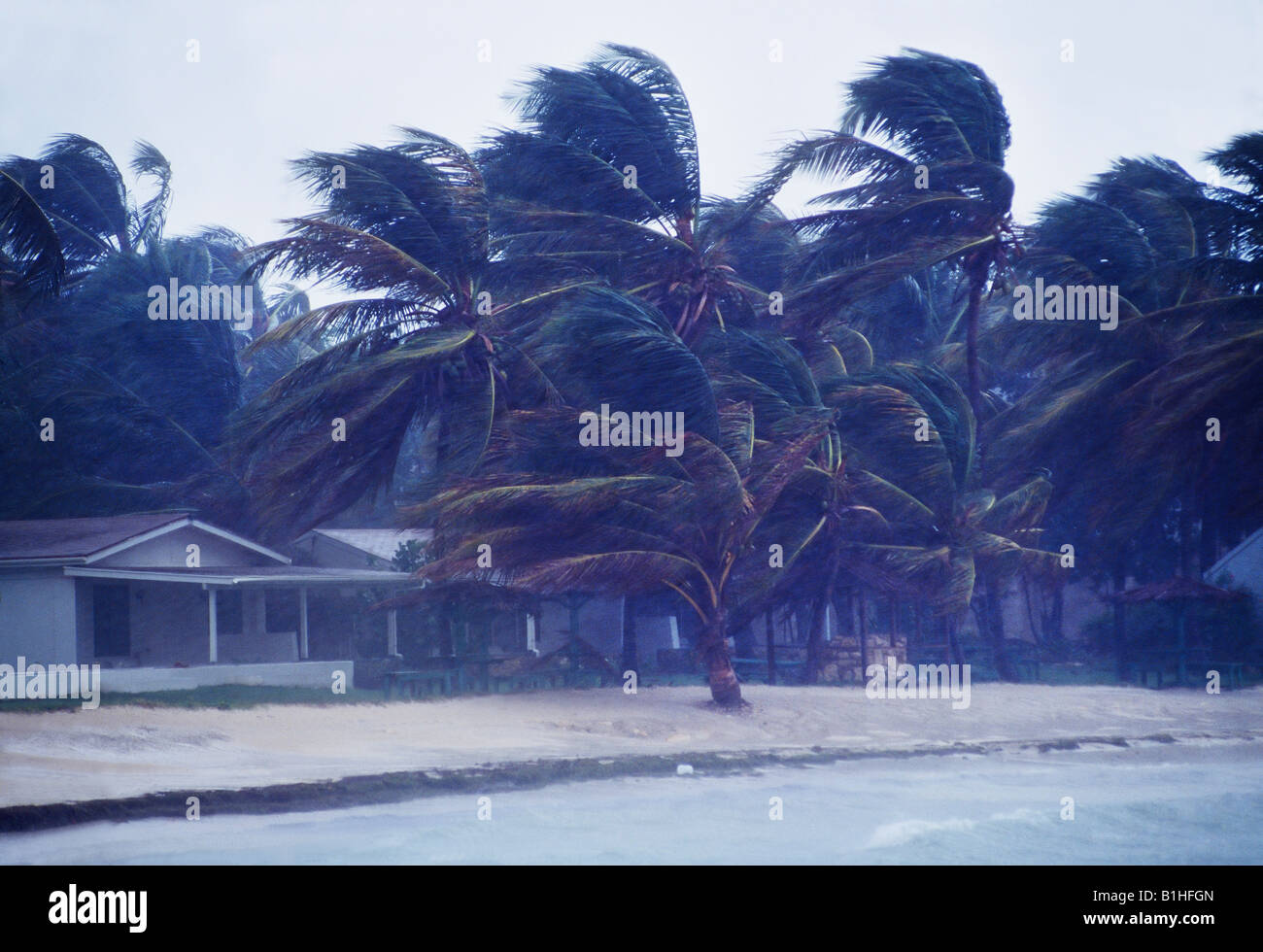 Hurricane antigua west indies hi-res stock photography and images - Alamy