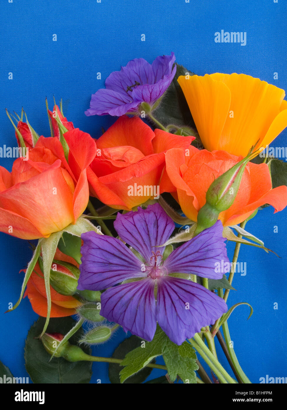 posy red roses californian poppies geranium Stock Photo - Alamy