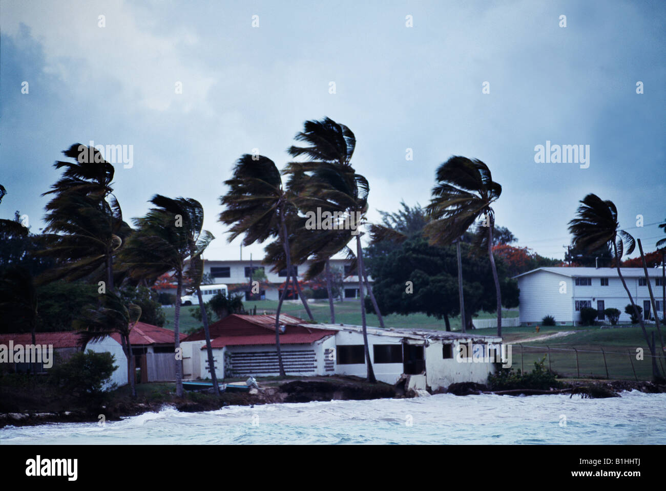 Hurricane Winds Antigua West Indies Stock Photo Alamy