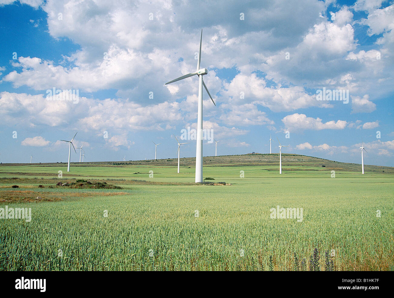 Wind farm. Paramo de Masa. Burgos province. Castile Leon. Spain. Stock Photo