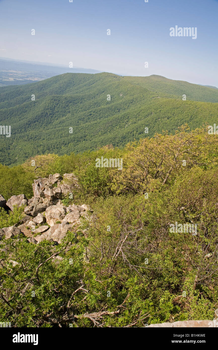 Shenandoah National Park Virginia The view from Hawksbill Mountain the highest point in Shenandoah National Park Stock Photo